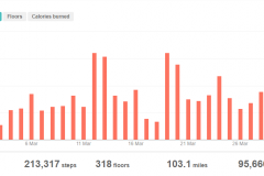 2019-03-31-Fitbit-tracking