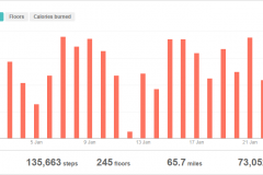 2019-01-24 Fitbit tracker