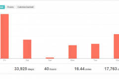 2019-03-06-Fitbit-Tracker