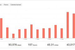 2019-03-13-Fitbit-tracking