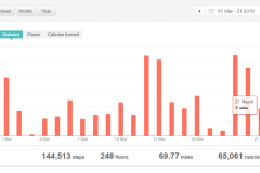 2019-03-21-Fitbit-tracking
