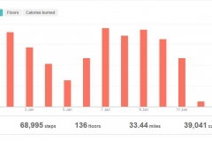 Fitbit Tracking