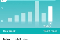 Screenshot_20190102-210706_Fitbit