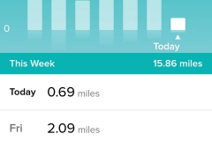 Screenshot_20190105-184746_Fitbit