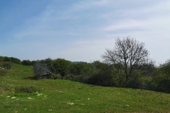 IMG_20190419_130539